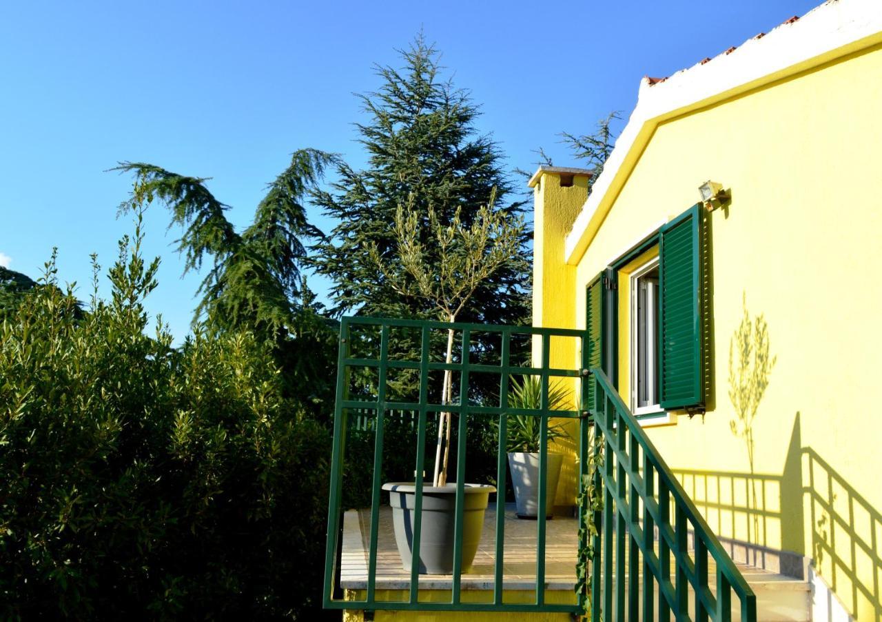 Apartments Vukovic Stari Grad  Zewnętrze zdjęcie